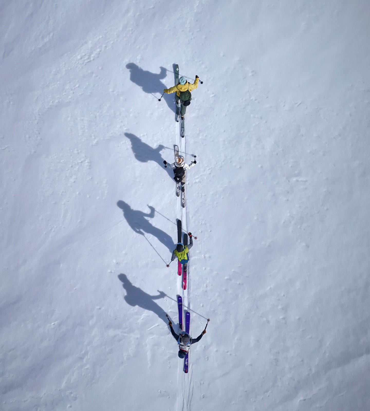 Freeride Skitest - Powderlines